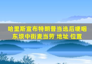 哈里斯宣布特朗普当选后哽咽东坝中街麦当劳 地址 位置